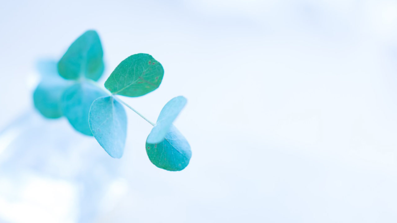 生理の貧困とは